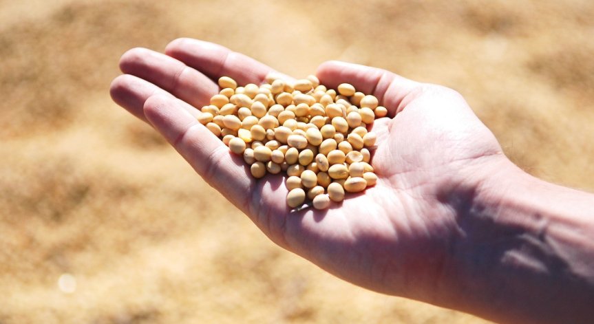 Диетата на Окинава е богата на храни, приготвени със соя, като тофу и мисо супа.