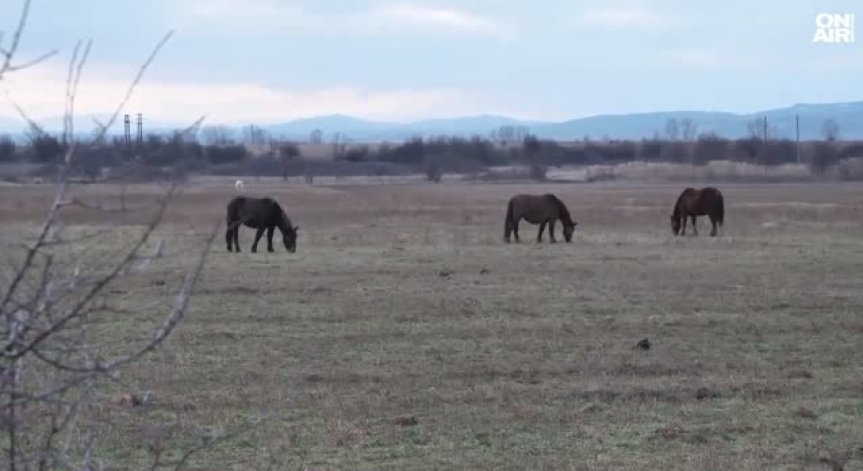 Предстои определяне на мярката му.