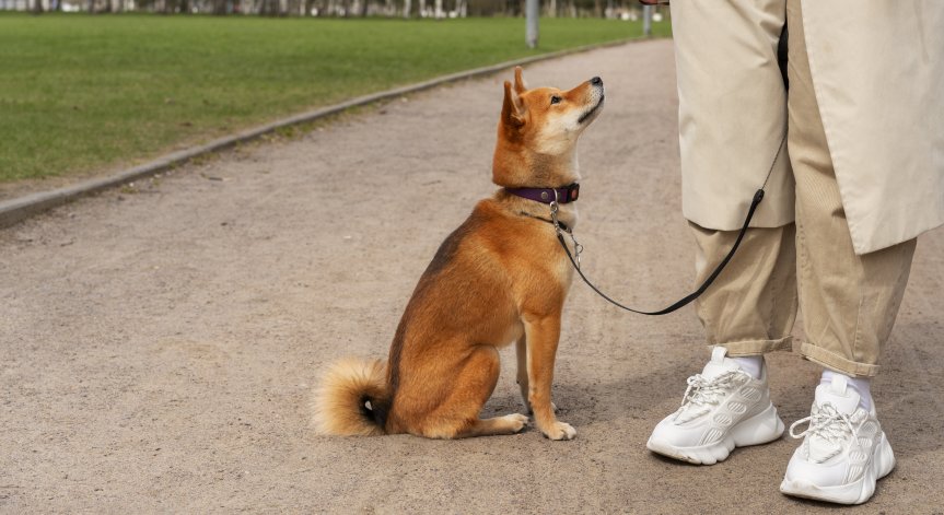 Първоначално стопаните ще бъдат предупредени.