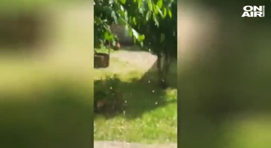 Започнаха огледите на щетите след градушката във Велико Търново