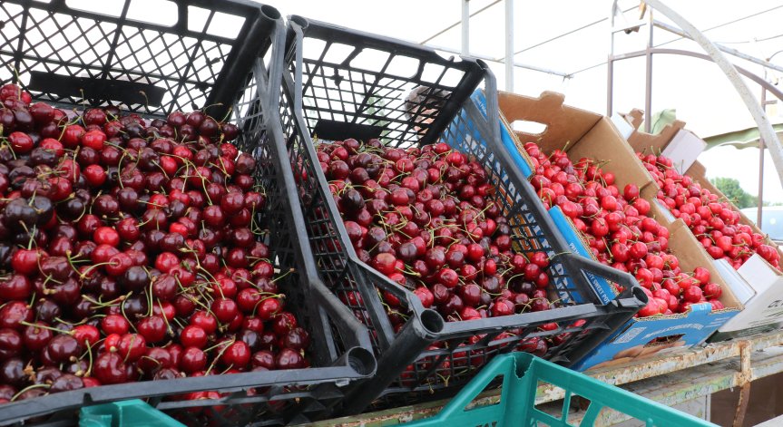 Ядем по-евтини череши и зеленчуци, но пък цената на сиренето и кашкавала е нагоре