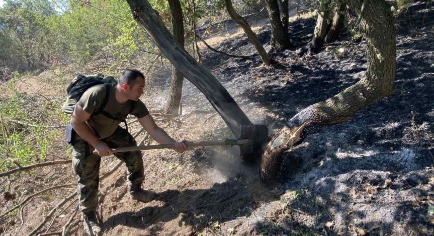 Около 1500 дка планински масив е унищожен от пожара край село Брягово