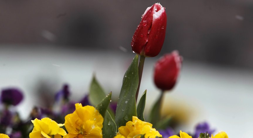 Максималните температури ще бъдат между 12° и 17°.