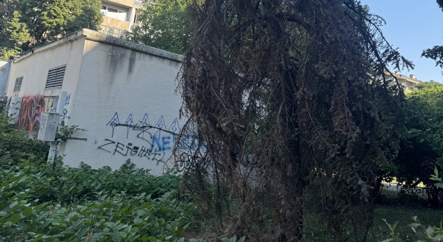 Сигнали от страната: Надвиснали клони и сухи дървета опасни за хора и имущество
