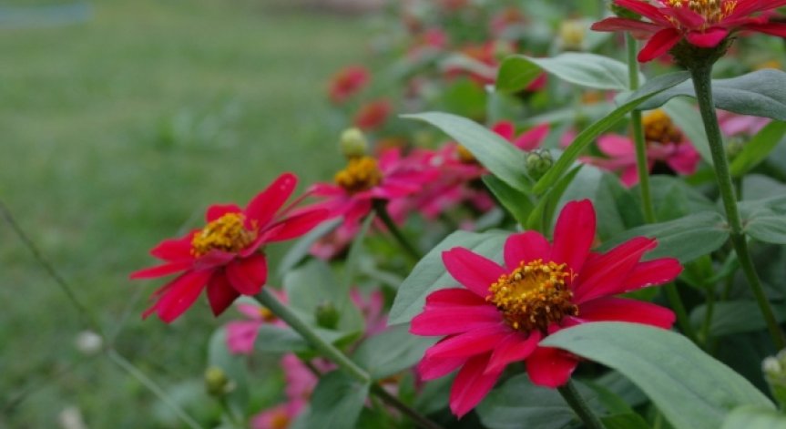 Министър Ангелкова: Близо 1 млн. германци са посетили страната ни през 2014г.