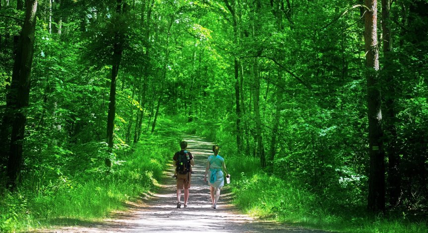 Очаква ни слънчева неделя, температурите скачат до 34°C