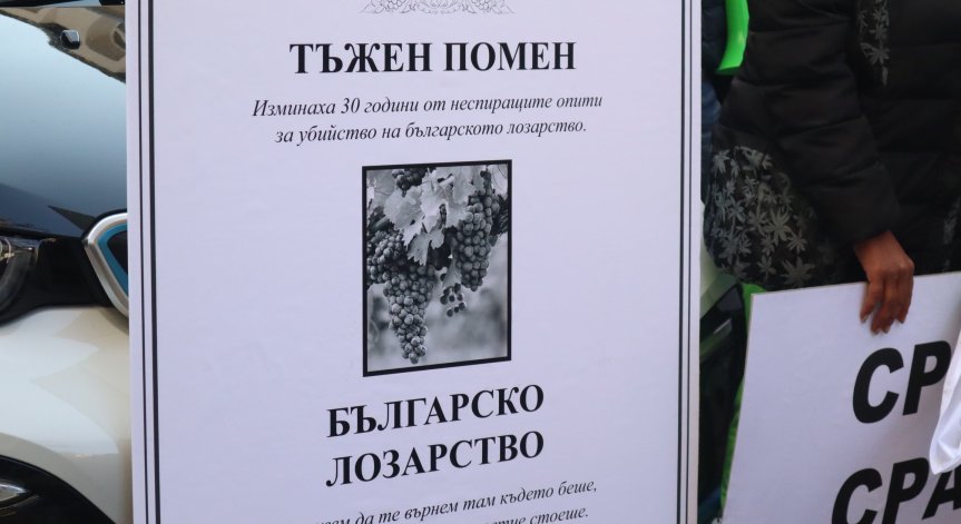 Лозарите излизат на протест, искат сигурност и строг контрол на виното