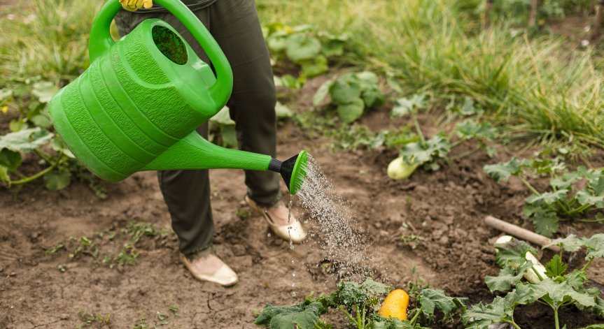 Общините трябва да засилят контрола.