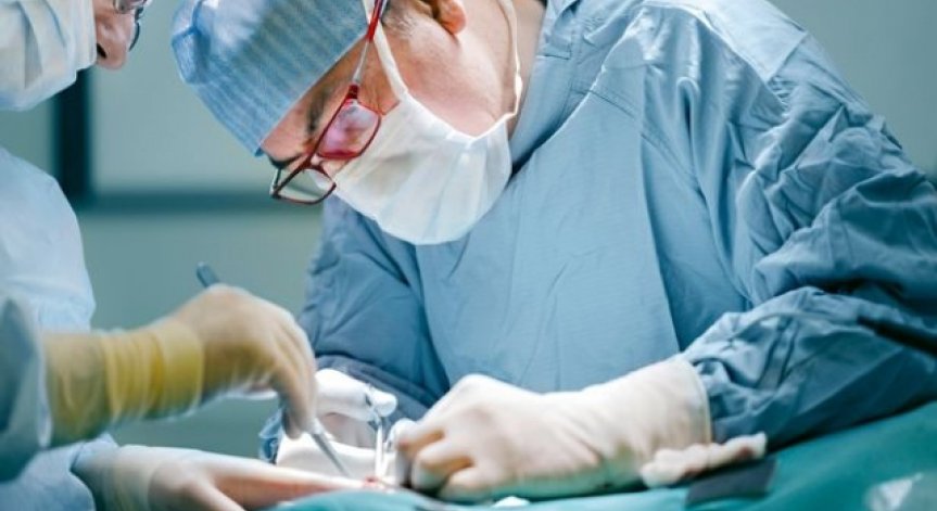 Първи трансплантации за 2015г.