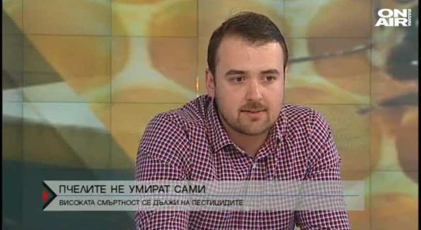 Над 400 милиона пчели в България са убити от пестициди