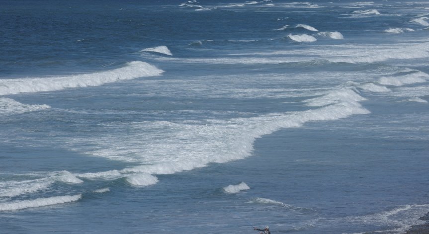 Учените изнесоха тревожни данни.