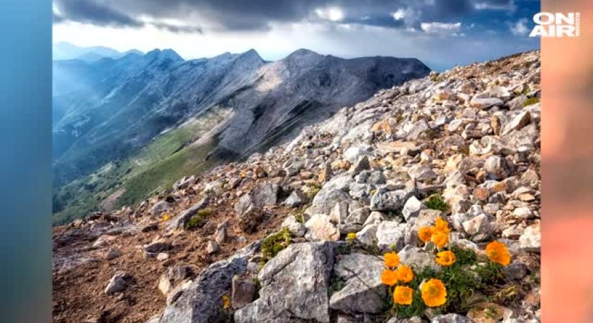В София: Протест в защита на парк 