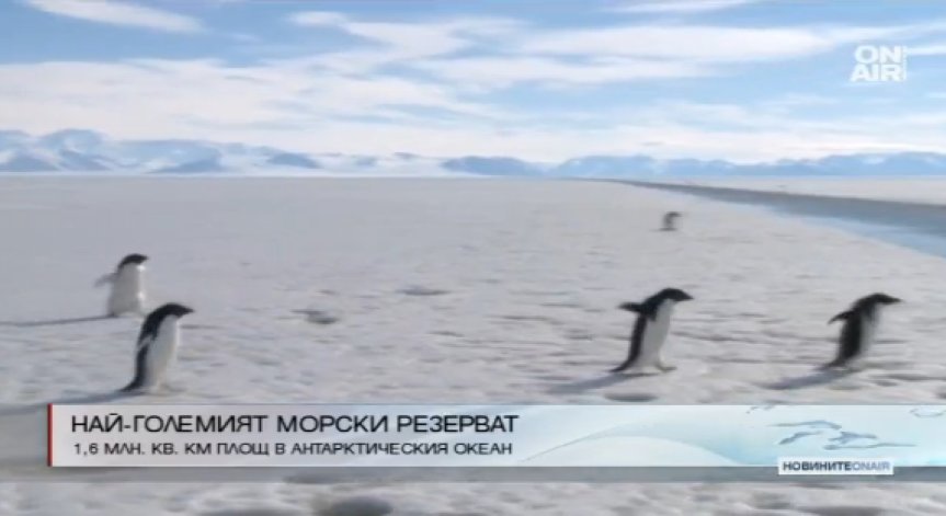 24 държави и ЕС създават най-големия морски резерват на планетата