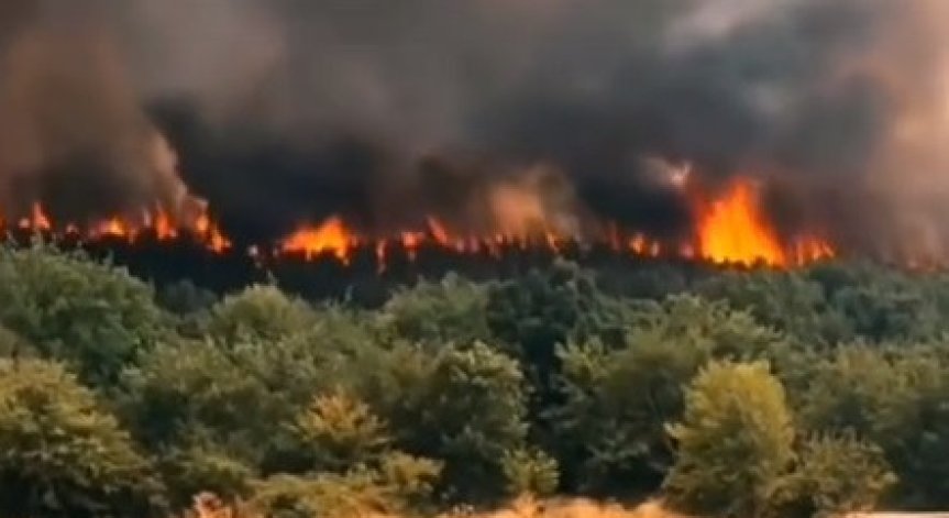 Равносметката от Припек: 