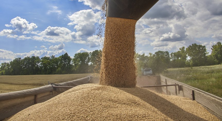 Има ли правно основание България да откаже вноса на украинско зърно? Властите решават