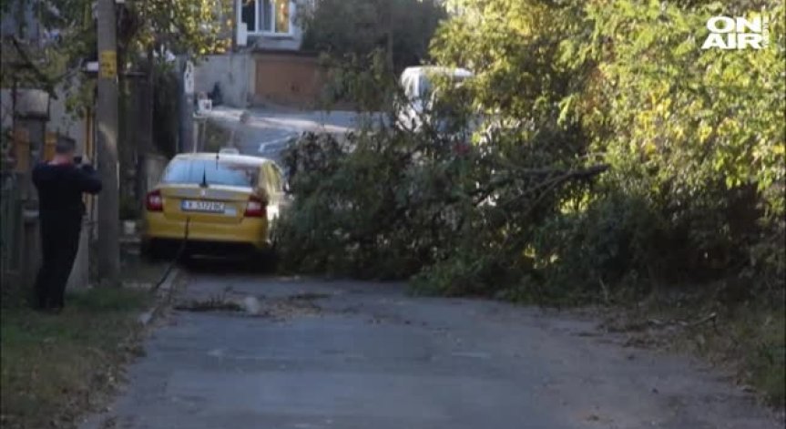 Бурният вятър предизвика авария в Кърджалийско - над 40 села са без ток