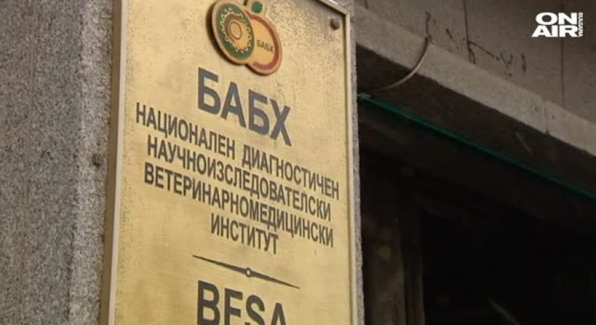 БАБХ унищожава храни с изтекъл срок в училищните столове 