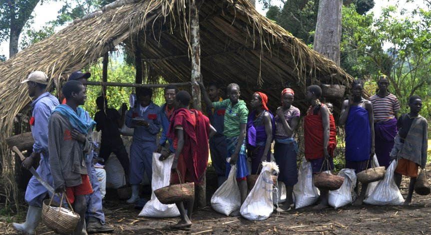 Близо 340 души са загинали при нападение в Етиопия