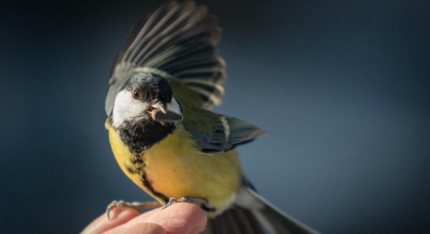 Ще се радваме на топла, но ветровита неделя с валежи