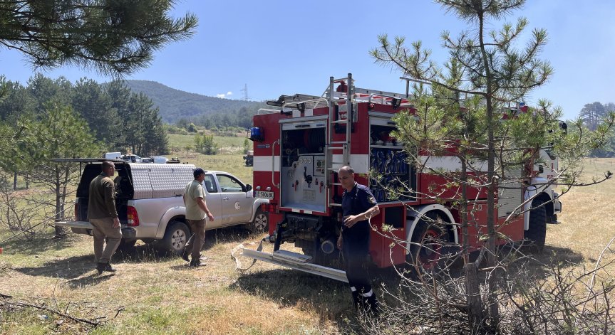 Над 100 пожарникари и доброволци участват в овладяването на огъня.
