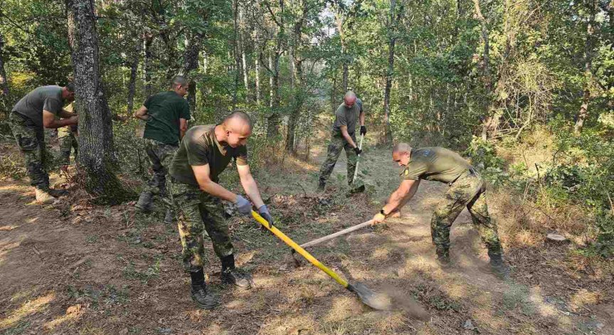 МЗХ започва проверки за опазване на земеделските земи и горските територии 