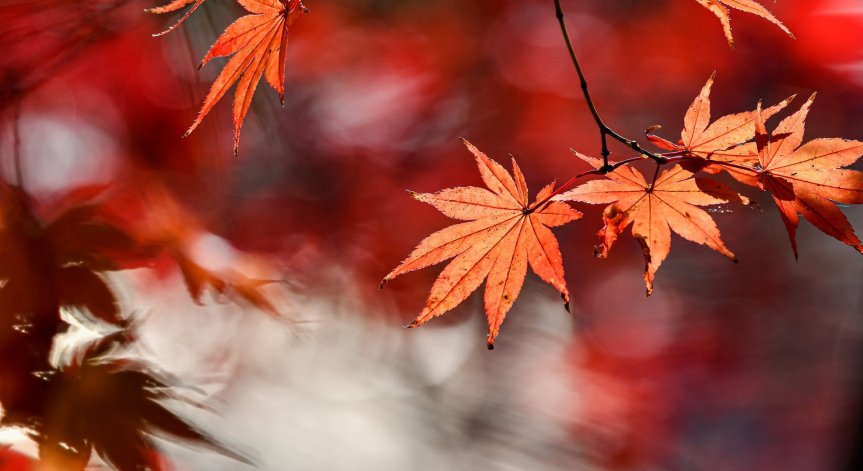 Настъпи астрономическата есен! Посрещаме я с хладно време