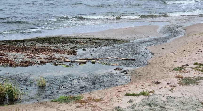 35-годишен полски турист се удави край Приморско