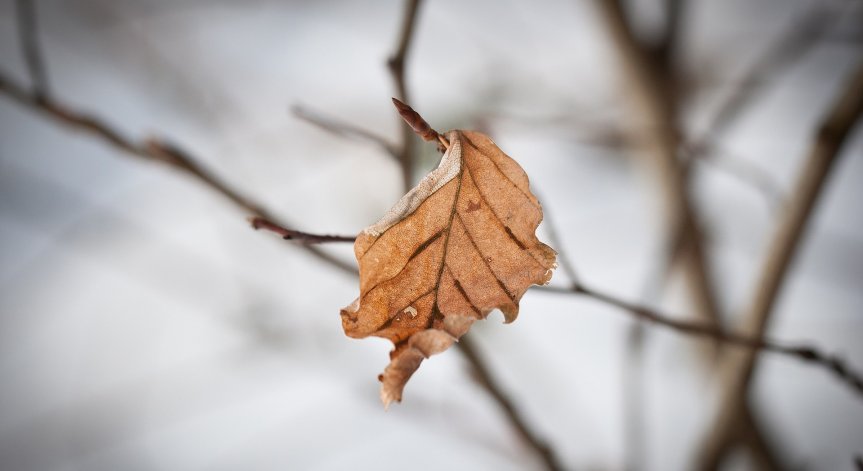 Облачен втори ден на Коледа, ще превали в Северна и Западна България