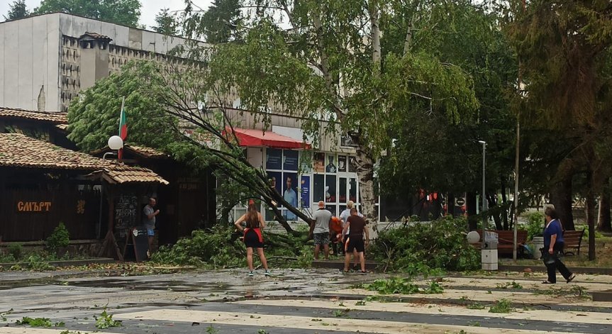 Мощна буря удари Провадия, дървета потрошиха коли и блокираха пътища (СНИМКИ)