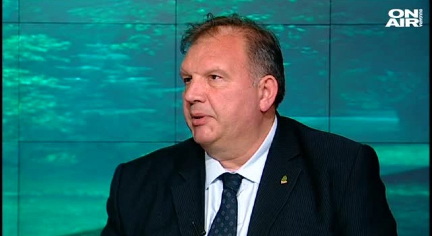 Колко гора е унищожена в последните години