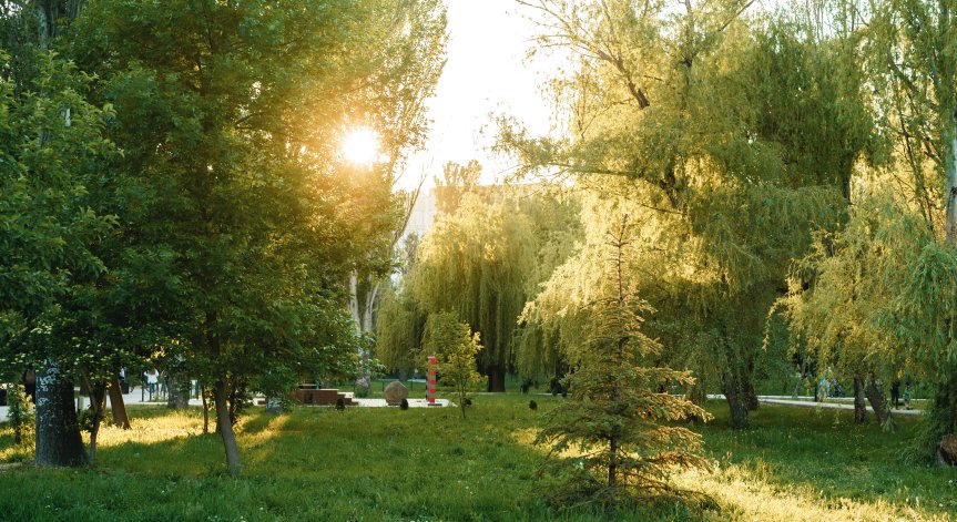 В планините преди обяд ще бъде предимно слънчево. 