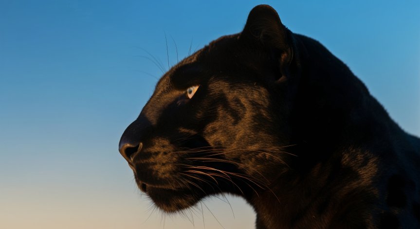 За ситуацията отново ще бъдат информирани ресорните министерства.