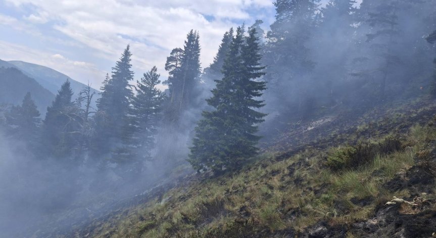 По-рано днес пожар пламна и в района на Якоруда.
