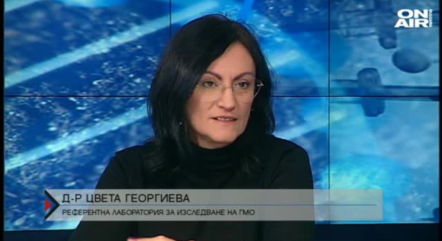 В соята и царевицата най-често има ГМО