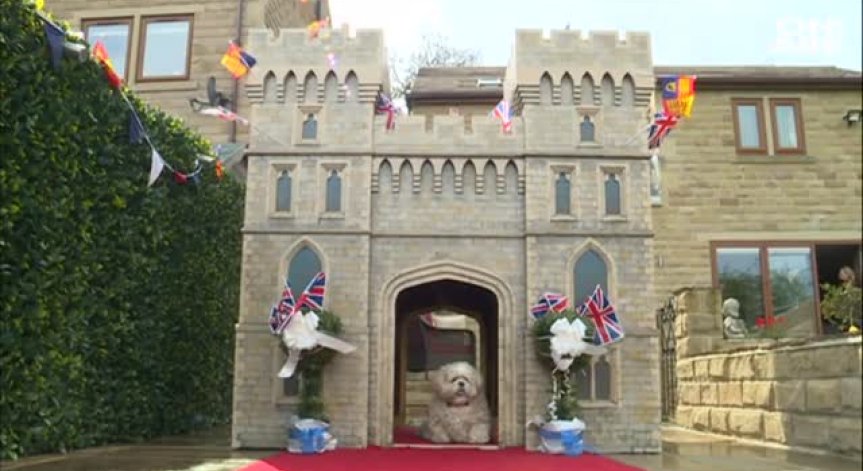 Лудост на Острова покрай сватбата на принц Хари и Меган Маркъл