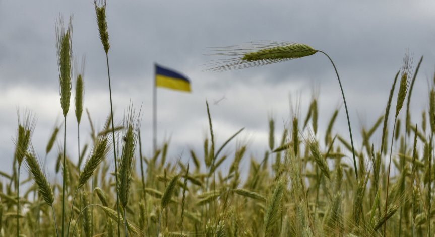 Испания инициира операция по износ на около 8 000 т зърно от Украйна