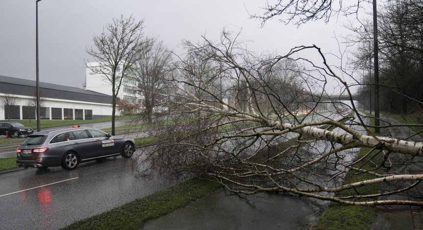 Хаос в Европа заради бурята 