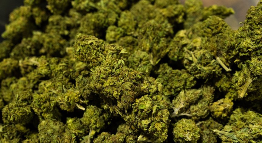 САЩ се произнесоха - банките ще могат да правят бизнес с компании за канабис