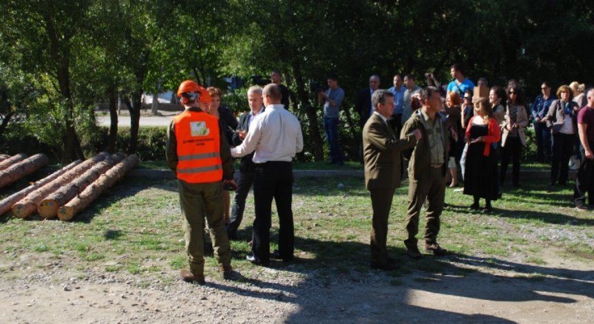 По-добър контрол чрез електронни превозни билети за дървесина