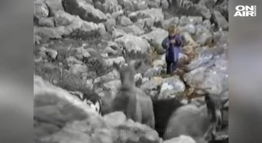 Хит в социалните мрежи: Лука Модрич пасе кози в планината