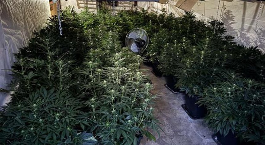 По двата случая са образувани досъдебни производства.