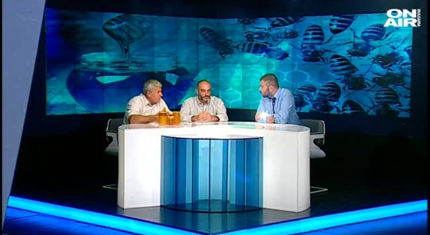 Пчелите в България умират