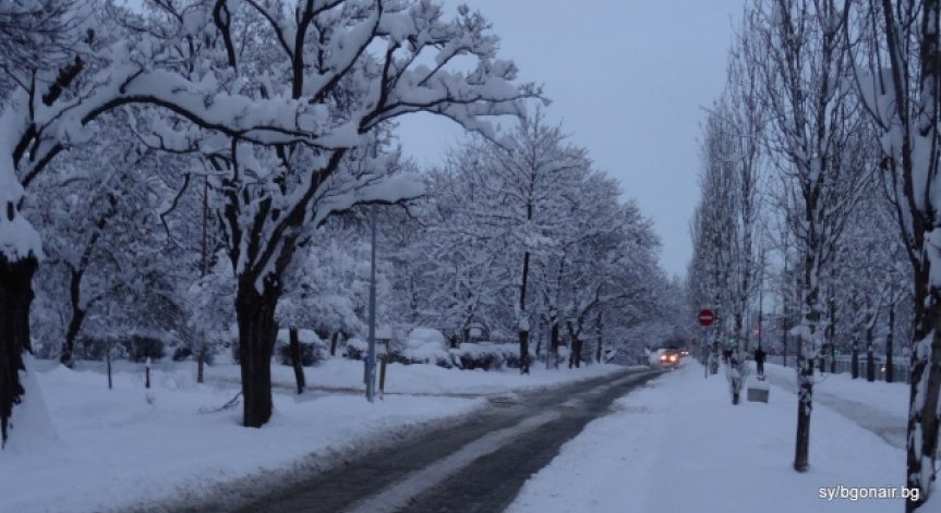 5 правила, които трябва да спазвате, ако шофирате при сняг