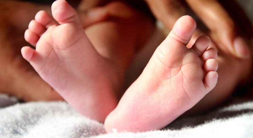 Зов за помощ! 7-месечната Марти се нуждае от спешна трансплантация