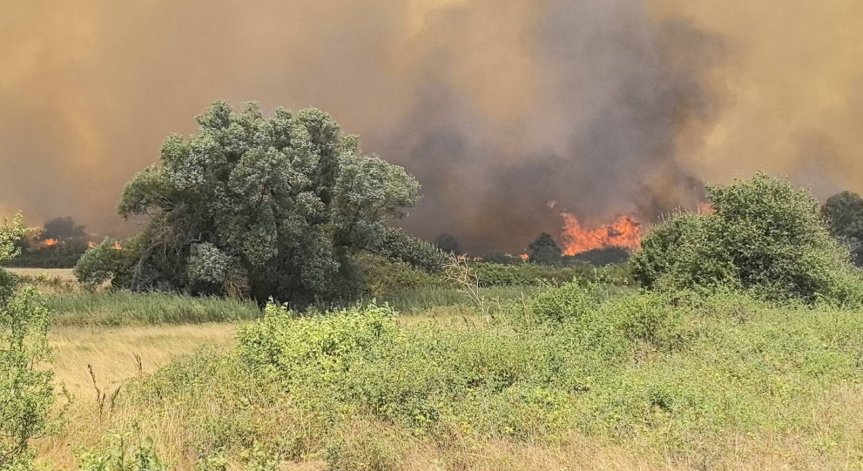 Пожар в Ямболско