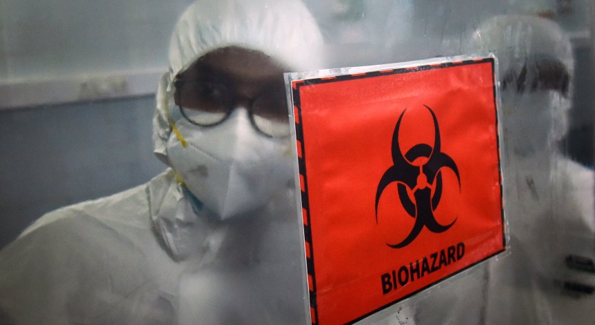 Първи смъртни случаи от маймунска шарка в Испания и Бразилия, СЗО иска бързи мерки