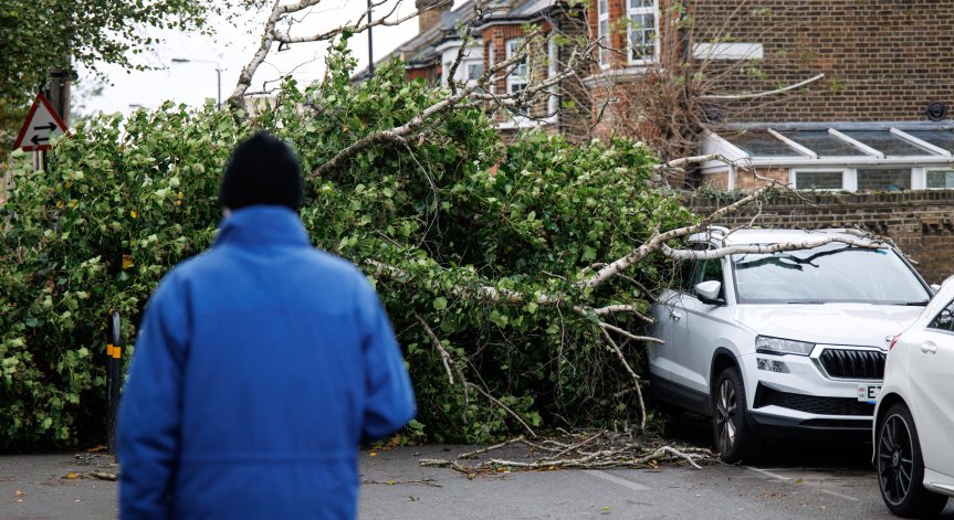 Буреносните ветрове ще причинят прекъсвания на електрозахранването.