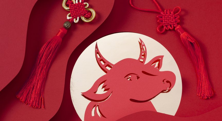 Идея, която сте обмисляли, изведнъж ще придобие реални измерения.