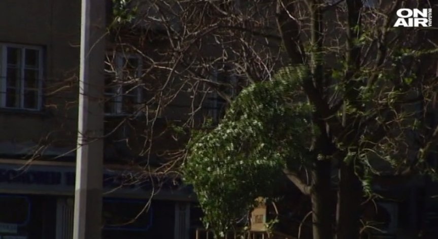 Врачански села останаха без ток заради силен вятър 