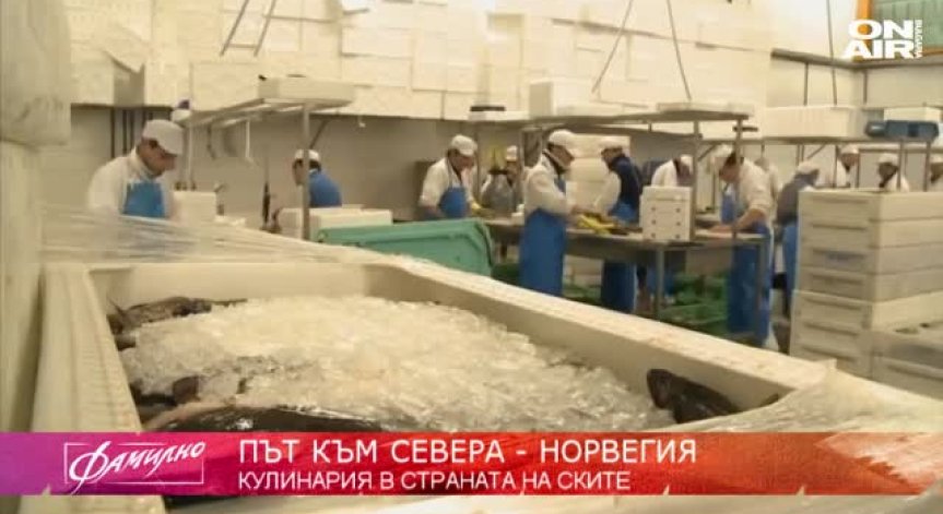 Риба и морски дарове...Да похапнем в Норвегия!